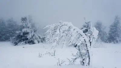 Снег с метелью: какой будет погода 4 февраля, фото - Новости Zakon.kz от 04.02.2024 01:23