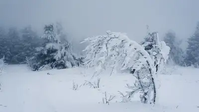 Метель и гололед: какой будет погода 5 февраля , фото - Новости Zakon.kz от 05.02.2024 01:06