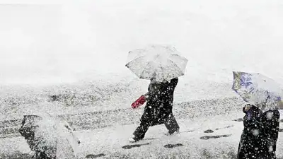 Небывалые снегопады в Японии: госпитализированы 40 человек, 10 тыс.остались без света, фото - Новости Zakon.kz от 06.02.2024 05:45
