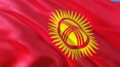 Кыргызский политолог: Мы не банановая республика, фото - Новости Zakon.kz от 13.02.2024 14:16