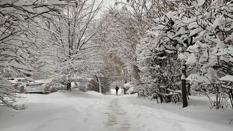 Фоторепортаж из заснеженной Алматы