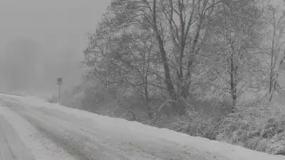 Пастух три дня блуждал в буран и мороз в степи Карагандинской области , фото - Новости Zakon.kz от 18.02.2024 00:33