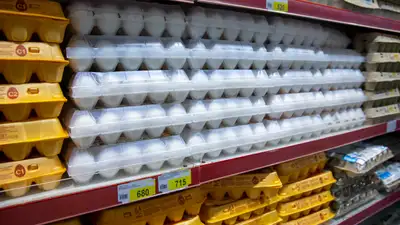 В Казахстане введут запрет на ввоз яиц
