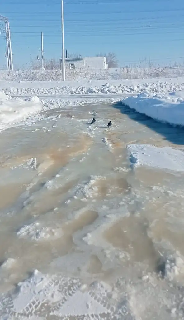 Дома подтапливает в Акколе