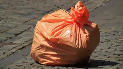 В Казахстане хотят увеличить штраф за мусор в неположенном месте, фото - Новости Zakon.kz от 29.02.2024 16:08