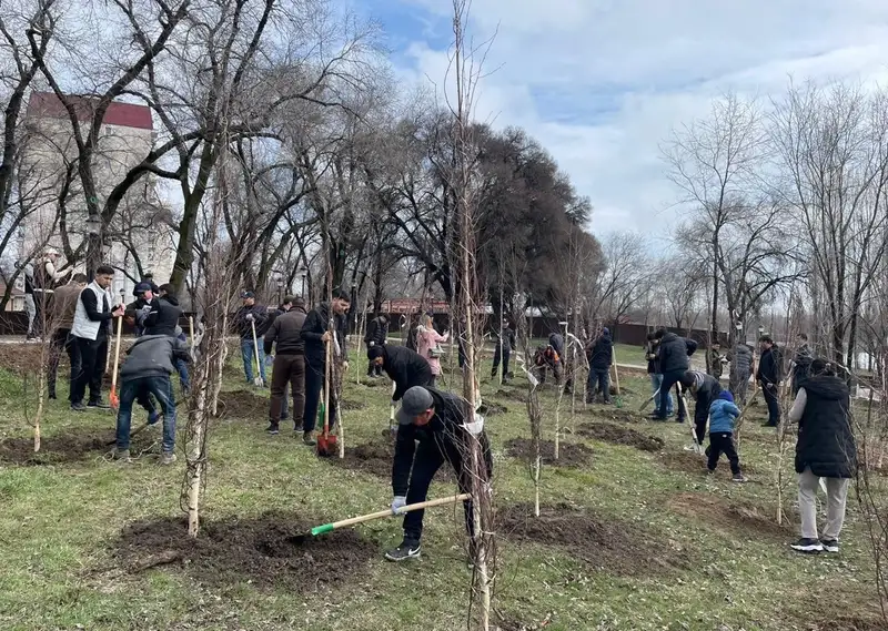 уборка в Алматы, фото — Новости Zakon.kz от 23.03.2024 19:45