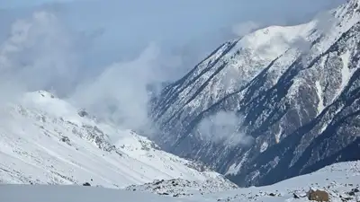 Лавины в горах Алматы