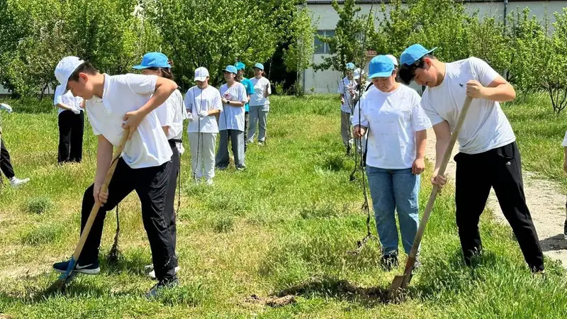 Проходит в Шымкенте в рамках экологической акции 