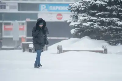 Метель, снег, снегопад, зима, ветер, Астана зимой, холод, мороз, заморозки , фото - Новости Zakon.kz от 12.10.2024 23:07