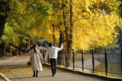 Парк, осень, желтые листья, листопад, люди 