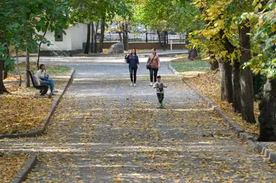 Парк, осень, желтые листья, листопад, люди 