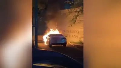 В Алматы сожгли машину, заказчик, полиция, фото - Новости Zakon.kz от 13.05.2024 11:54