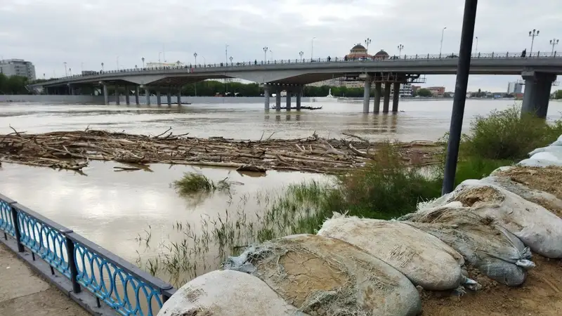 Паводок в Атырау принес еще одну неожиданную проблему