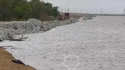 В селе Сарайшык у раскопок древнего городища устранили течь, фото - Новости Zakon.kz от 14.05.2024 08:56