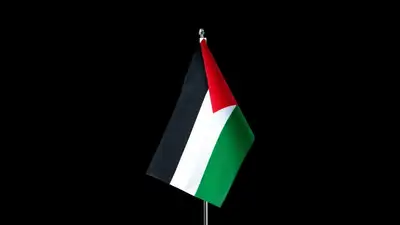 флаг Палестины, фото - Новости Zakon.kz от 26.05.2024 17:32