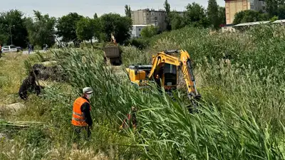 В Жамбылской области очищено 816,6 км каналов