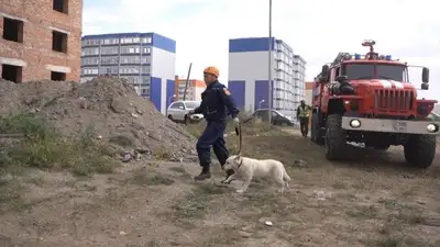 учения МЧС землетрясение, фото - Новости Zakon.kz от 31.05.2024 09:42