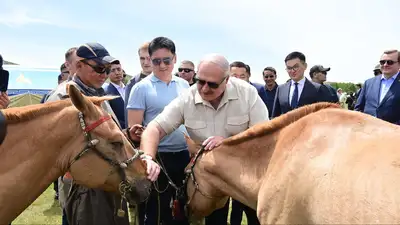 Лукашенко подарил тракторы президенту Монголии, и получил в подарок коней