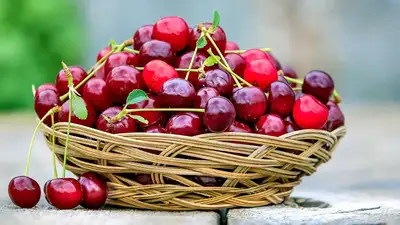 Какие ягоды нужно есть в июне, фото - Новости Zakon.kz от 06.06.2024 04:20