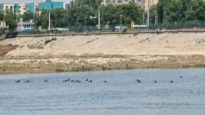 Пляжи Алматы: где можно и нельзя купаться в 2024 году