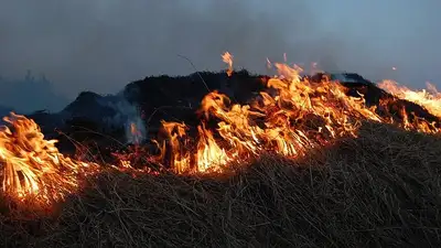пожар в Павлодарской области