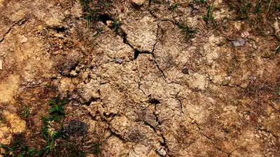 Казгидромет назвал регион, где через 10 дней наступит засуха