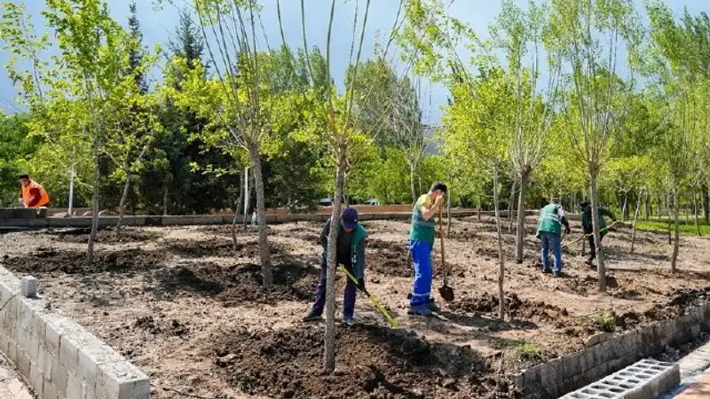 Стали известны планы по благоустройству Астаны на ближайший период