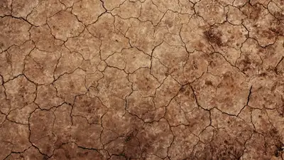 Засуху прогнозируют в семи областях Казахстана