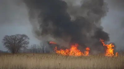 Степной пожар, степные пожары, пожар в степи