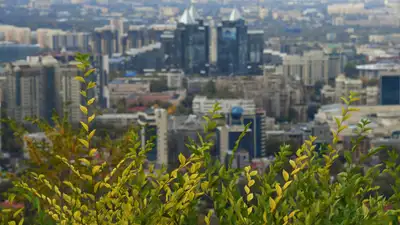 Вид на город Алматы, новостройки, жилые дома, осень