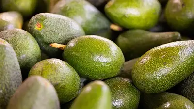 США приостановили импорт авокадо из Мексики