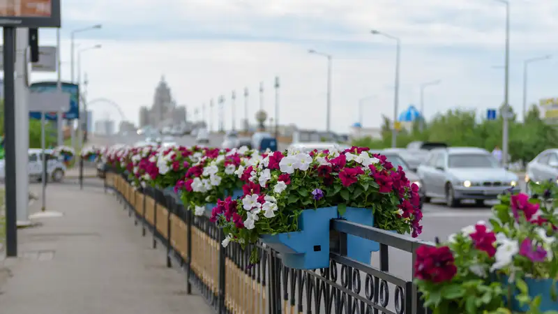 Новую полосу Bus Lane запускают по проспекту Аль-Фараби в Астане