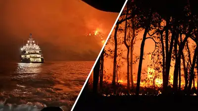 Появилась информация о том, кто поджег лес на греческом острове