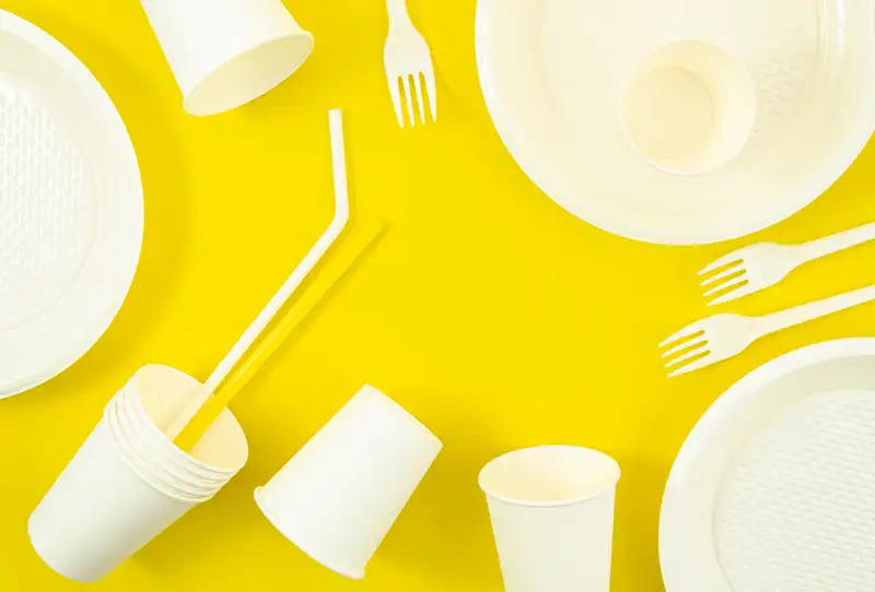 Пластиковая посуда: какие вещества входят в состав и когда изделия опасны для здоровья, фото - Новости Zakon.kz от 24.06.2024 17:18