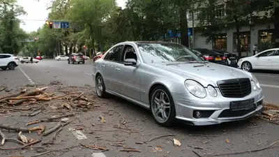 Упавшее дерево на дорогу, упавшее дерево на машину, упавшее дерево на автомобиль, упавшее дерево, поврежденная машина, поврежденный автомобиль