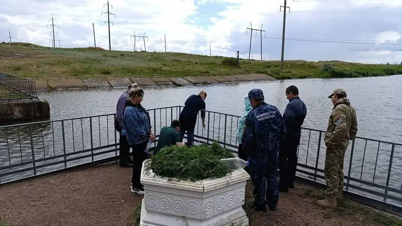 Гибель рыб на канале Сатпаева: инспекторы выехали на место предполагаемого инцидента