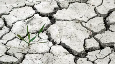 Казахстану угрожает засуха: опубликован прогноз на июль, фото - Новости Zakon.kz от 04.07.2024 10:57