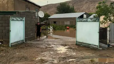 Грязевой поток затопил свыше 20 домов и 200 дворов в Жамбылской области