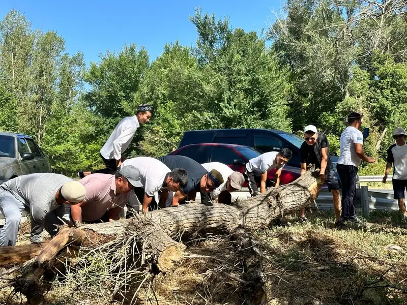 Проводится в Жамбылской области, фото — Новости Zakon.kz от 10.07.2024 10:26