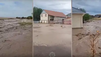 Грязевой поток затопил 15 дворов и три дома в Алматинской области