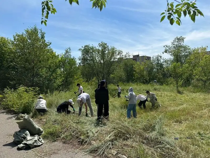 Поддержали в Карагандинской области, фото — Новости Zakon.kz от 15.07.2024 12:56