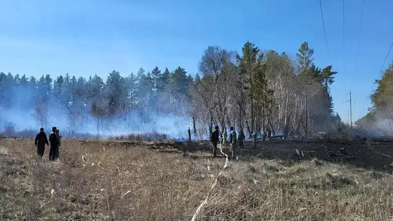 Почему семья погибшего при пожаре в "Семей орманы" лесника не получила пособие