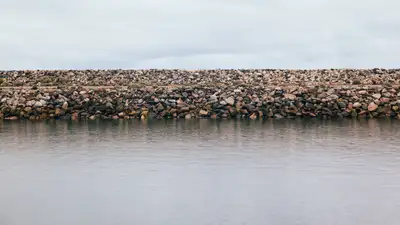 Северный Арал оживает: объем воды рекордно увеличился