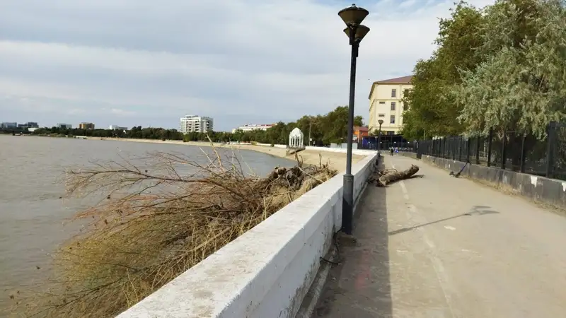 Чиновники приводят в порядок набережную в Атырау , фото — Новости Zakon.kz от 25.07.2024 12:54