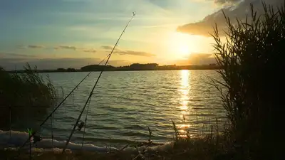 В Казахстане стало больше водоемов, где установлены лимиты на вылов рыбы, фото - Новости Zakon.kz от 06.08.2024 12:01