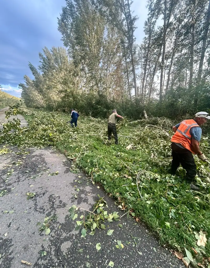 стихия в ВКО, фото - Новости Zakon.kz от 10.08.2024 20:12