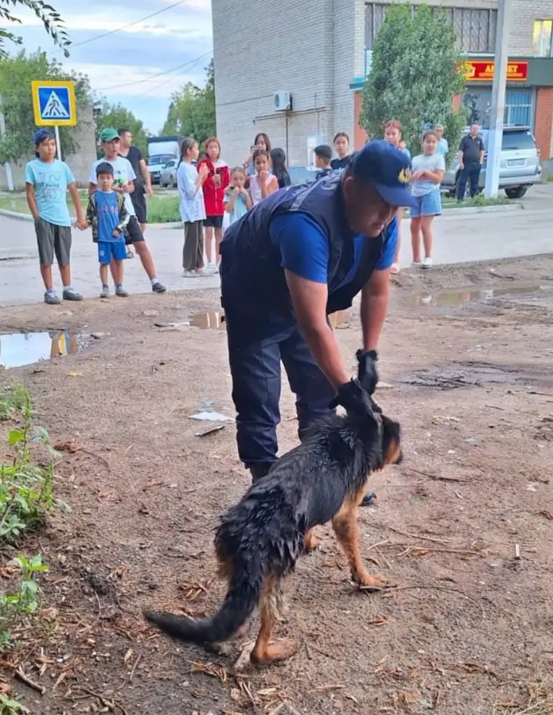 помощь спасателей, фото - Новости Zakon.kz от 10.08.2024 22:48