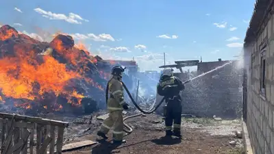 сгорело сено, фото - Новости Zakon.kz от 12.08.2024 18:35