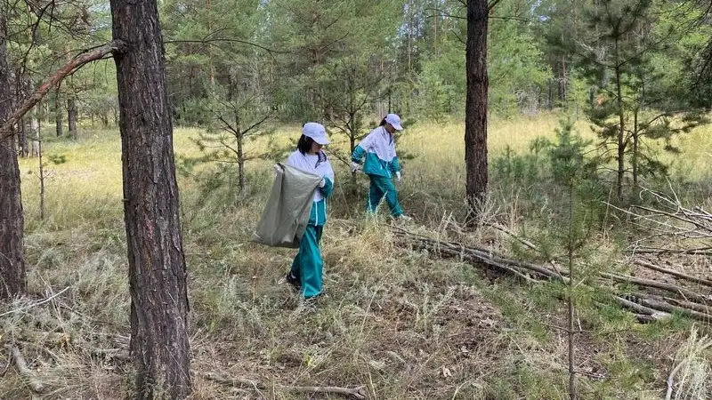 Приняла участие в акции "Чистый лес", фото - Новости Zakon.kz от 12.08.2024 12:57