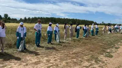 Приняла участие в акции &quot;Чистый лес&quot;